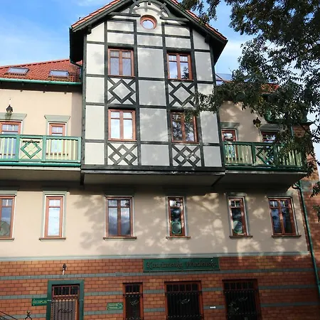 Amor * Krynica Morska